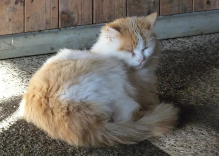 팜스테이 Urlaub Am Bauernhof Rothof *