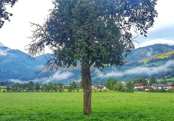 팜스테이 Urlaub Am Bauernhof Rothof *
