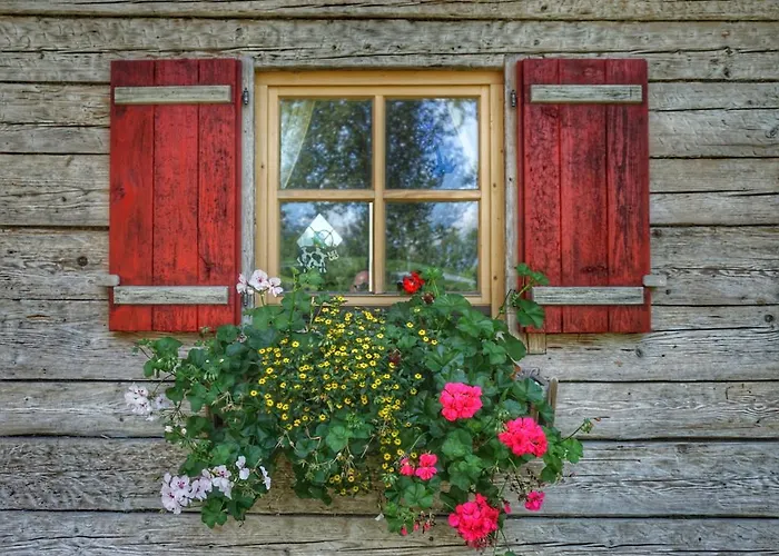 Urlaub Am Bauernhof Rothof 팜스테이 *